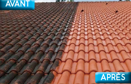 Couvreur professionnel pour traitement hydrofuge coloré de toiture à Ecully, Villeurbanne, Caluire