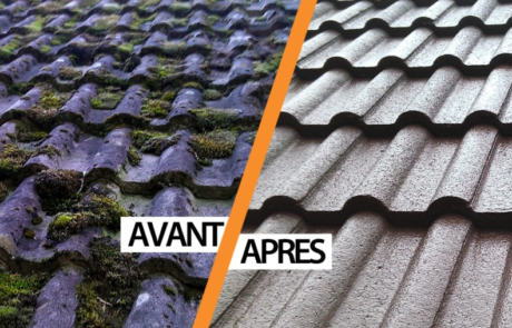 Nettoyage et démoussage de toiture à Lyon
