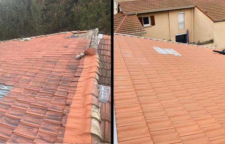 nettoyage et démoussage toiture à Neuville-sur-Saône