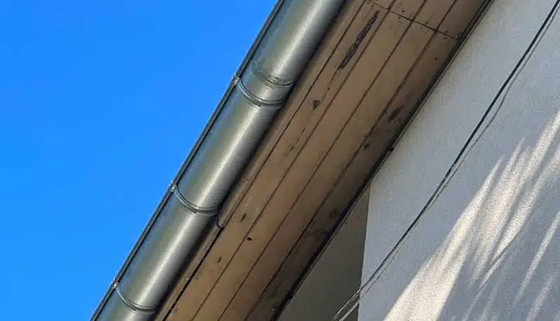 travaux de zinguerie et gouttière à Neuville-sur-Saône travaux de zinguerie et gouttière à Neuville-sur-Saône