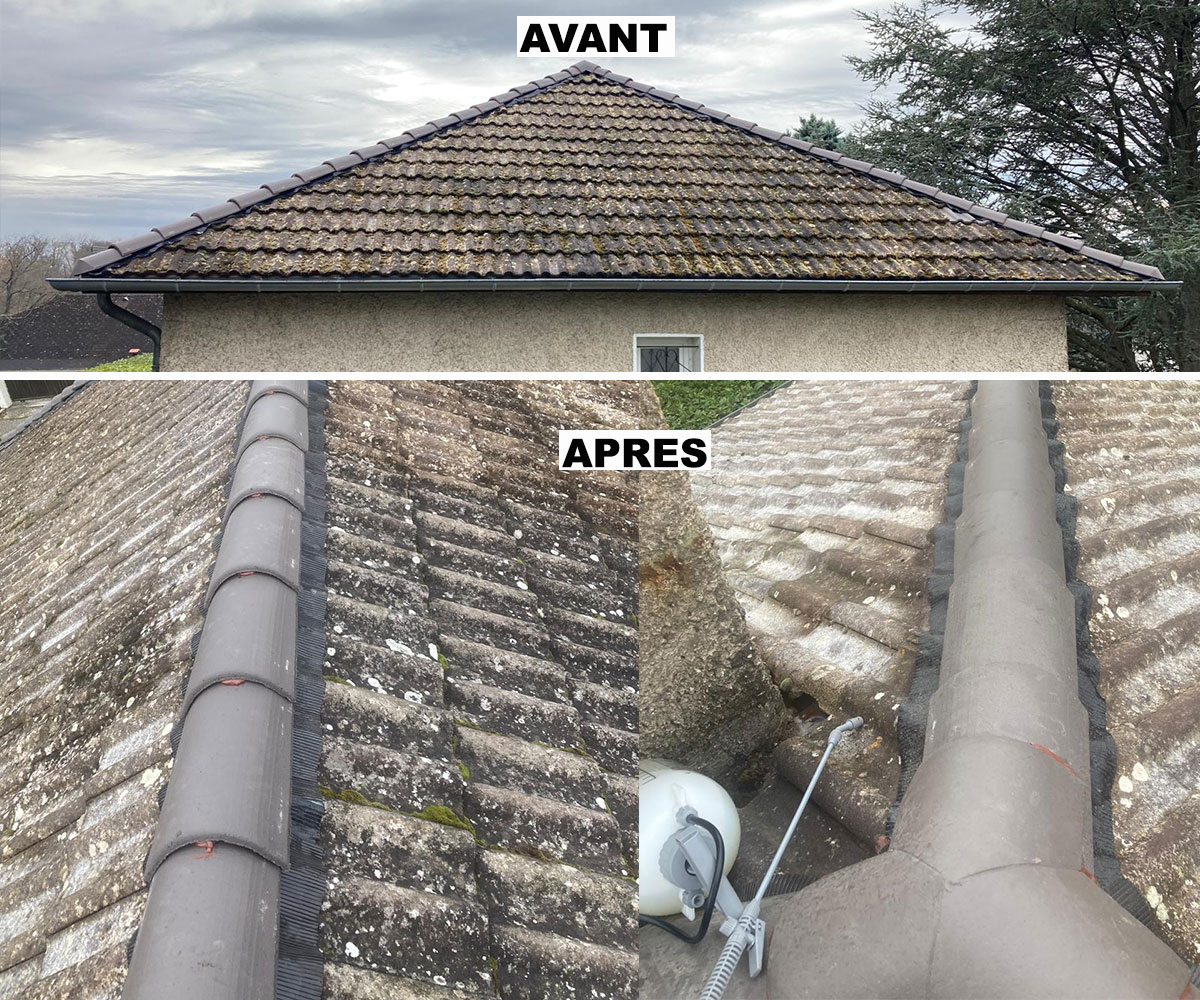 remplacement de faitage et tuiles faitières à Ecully