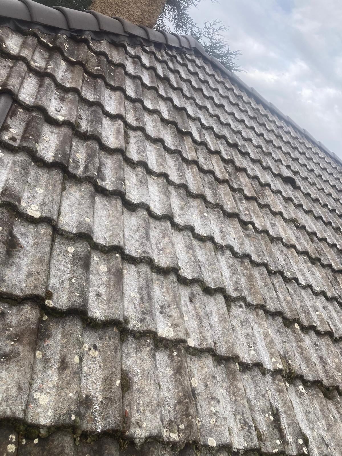 remplacement du faitage de toiture à Ecully (3)
